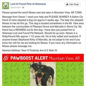 Meet your Posher, Jeannette